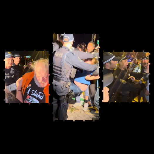 image of Reject NSW Police Brutality! NSW Police force must be held to account!